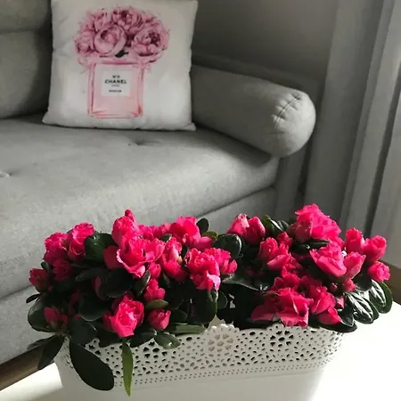 Apartmán Glamour Przy Plazy, Z Parkingiem Prywatnym Sopoty