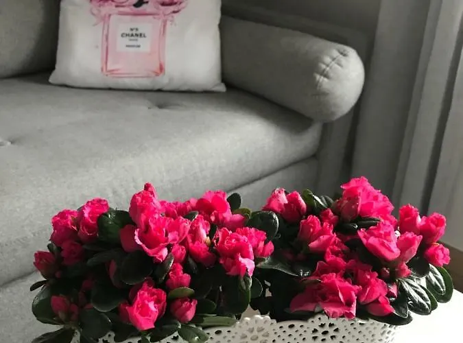 Apartmán Glamour Przy Plazy, Z Parkingiem Prywatnym Sopoty